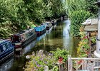 Perfect Summer, Shropshire Union  Canal.jpg